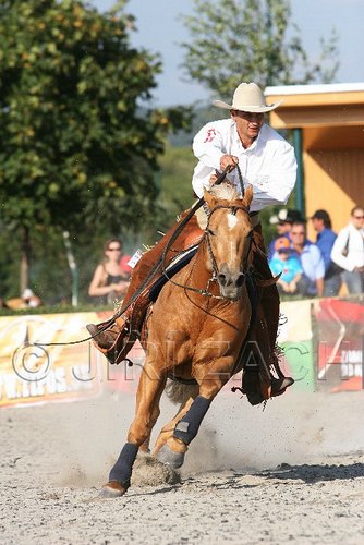 MEC06_4736.jpg