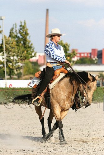 MEC06_4766.jpg