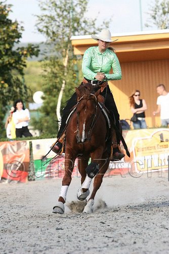 MEC06_4774.jpg
