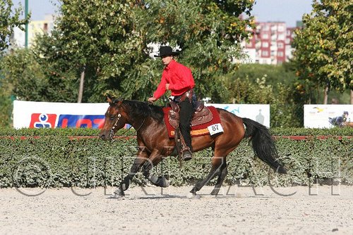 MEC06_4789.jpg