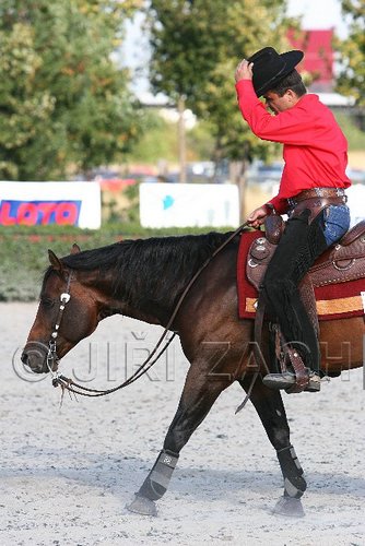 MEC06_4804.jpg