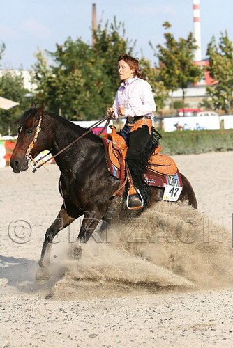 MEC06_4816.jpg
