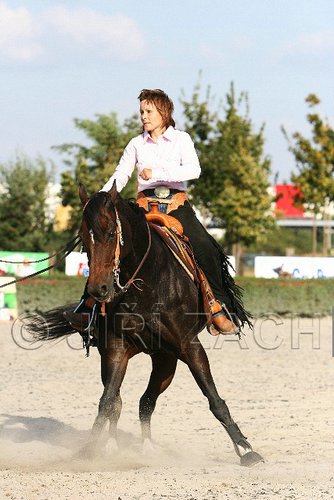MEC06_4818.jpg