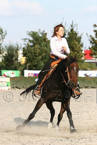 MEC06_4822.jpg