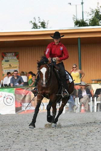 MEC06_4835.jpg
