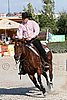 MEC06_4547.jpg