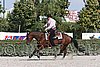 MEC06_4550.jpg
