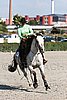 MEC06_4564.jpg