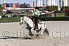 MEC06_4570.jpg