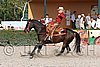 MEC06_4608.jpg