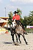MEC06_4636.jpg