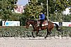 MEC06_4653.jpg