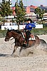 MEC06_4658.jpg