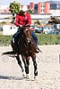 MEC06_4668.jpg