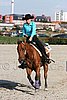MEC06_4711.jpg