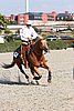 MEC06_4729.jpg