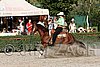 MEC06_4769.jpg