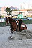 MEC06_4775.jpg