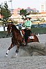 MEC06_4776.jpg