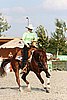 MEC06_4777.jpg