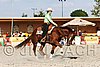 MEC06_4781.jpg