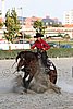 MEC06_4839.jpg
