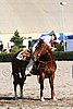 MEC06_3953.jpg