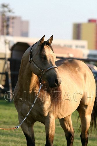 MEC06_2210.jpg