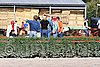 MEC06_0217.jpg