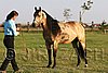 MEC06_2176.jpg