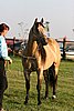 MEC06_2203.jpg