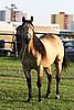 MEC06_2209.jpg