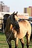 MEC06_2210.jpg