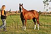MEC06_2214.jpg