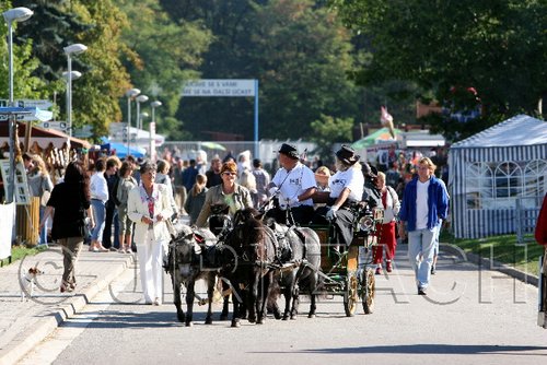 Par06_0574.jpg