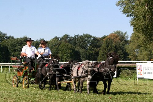 Par06_0583.jpg