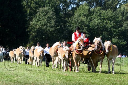 Par06_0595.jpg