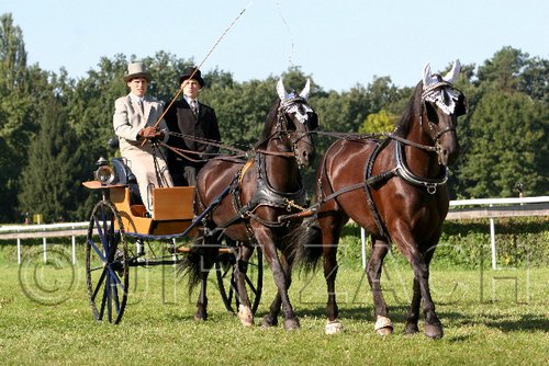 Par06_0605.jpg