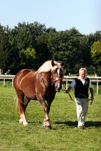 Par06_0609.jpg