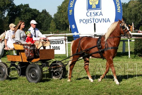 Par06_0616.jpg