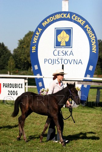 Par06_0619.jpg