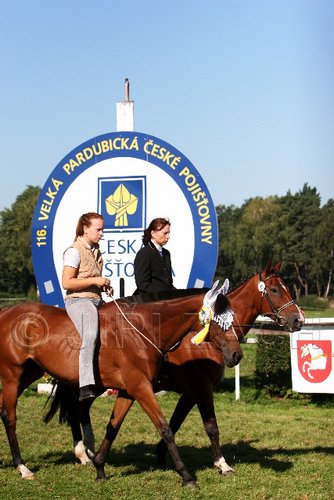 Par06_0620.jpg