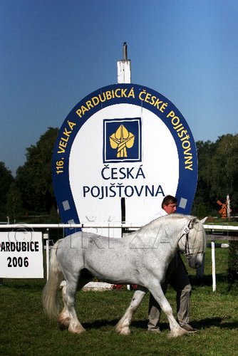 Par06_0621.jpg