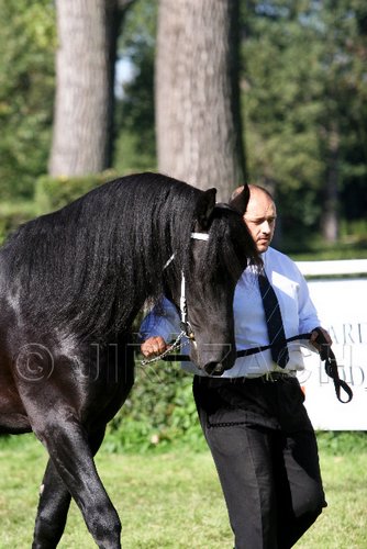 Par06_0628.jpg