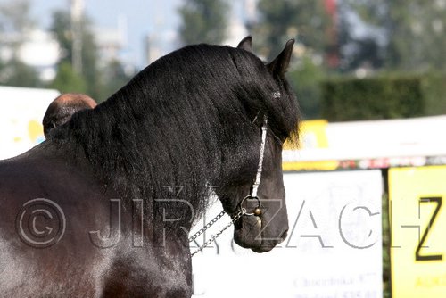 Par06_0630.jpg