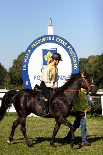 Par06_0631.jpg