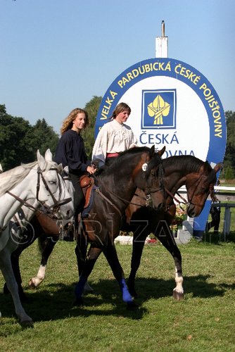 Par06_0634.jpg