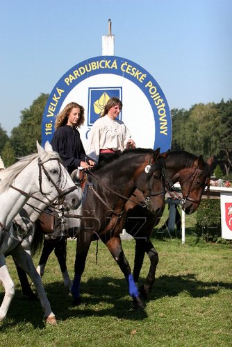 Par06_0635.jpg