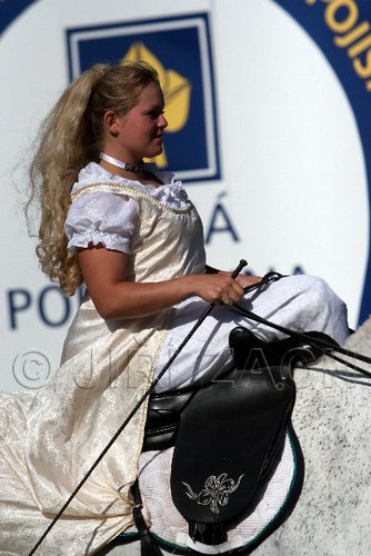 Par06_0638.jpg