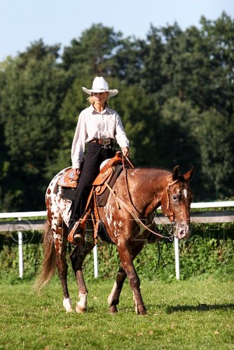 Par06_0647.jpg